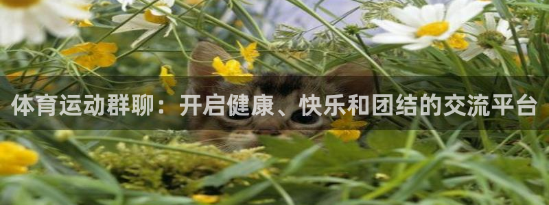 沐鸣app下载