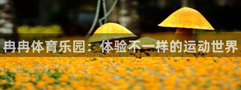 沐鸣2登录注册