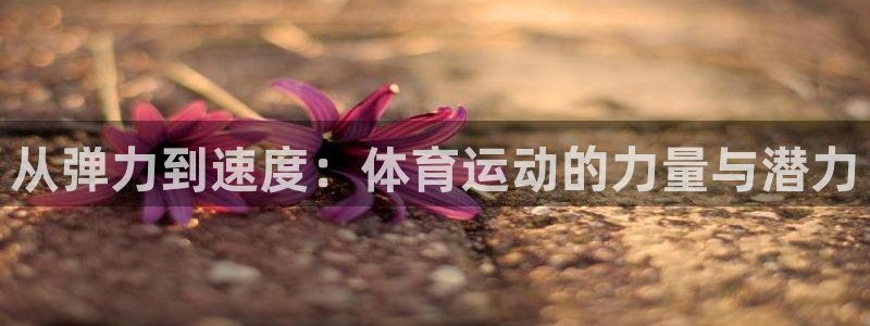 沐鸣体育