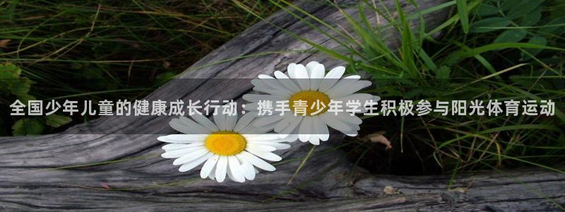 沐鸣2平台在线注册