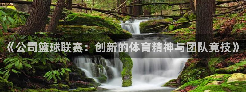 沐鸣官网