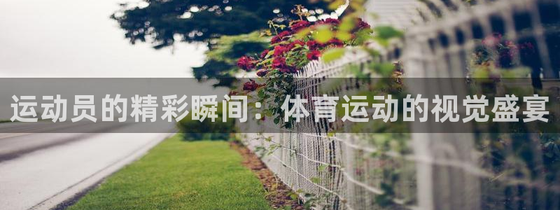 沐鸣集团