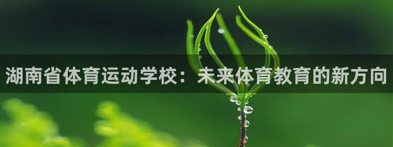 沐鸣体育和杏耀是哪个公司的