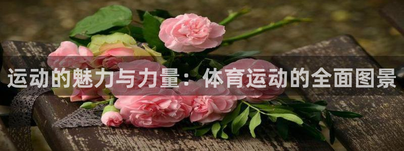 沐鸣2客户端 登录