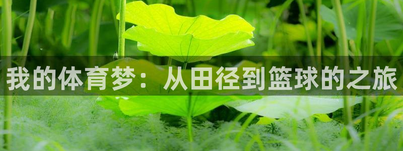 沐鸣登录