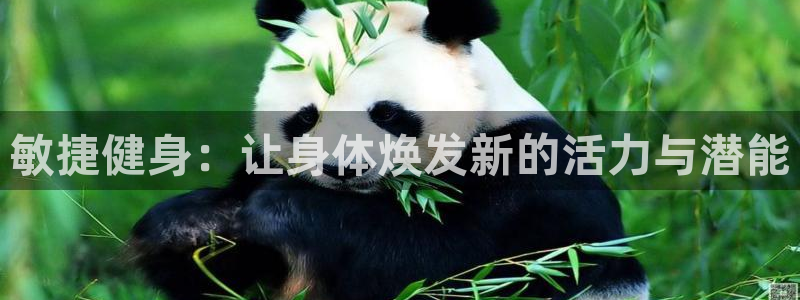 沐鸣体育1招商