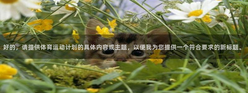 手机版沐鸣客户端下载