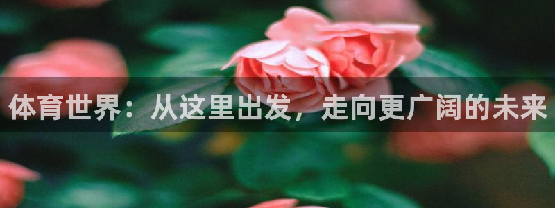 沐鸣体育官网登录
