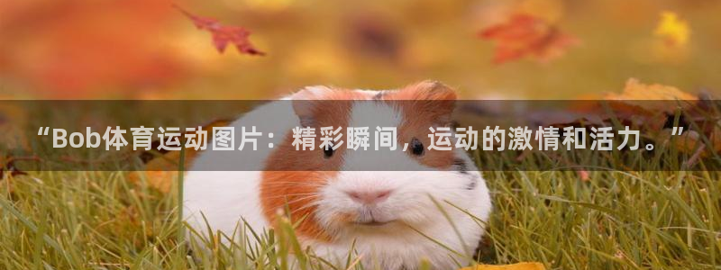 沐鸣2在线登录