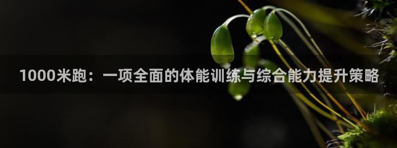 沐鸣f凯捷平台在线注册