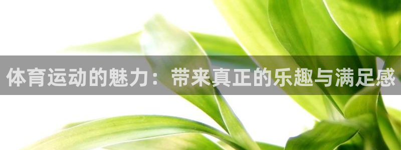 沐鸣平台