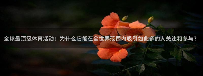 www.沐鸣体育.com