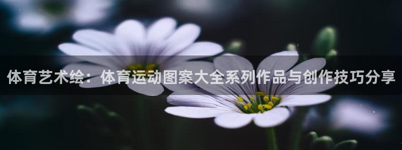 沐鸣平台登陆