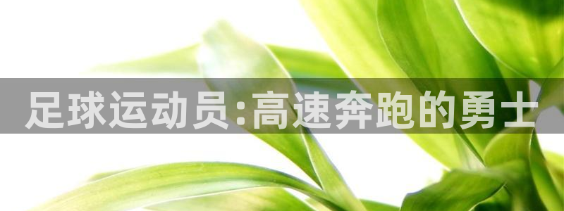 沐鸣网址注册