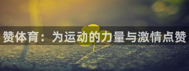 沐鸣凯捷注册