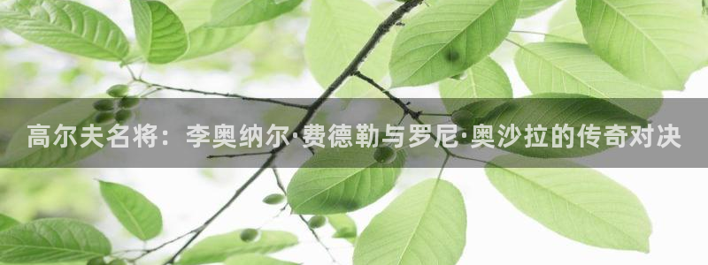 沐鸣体育2