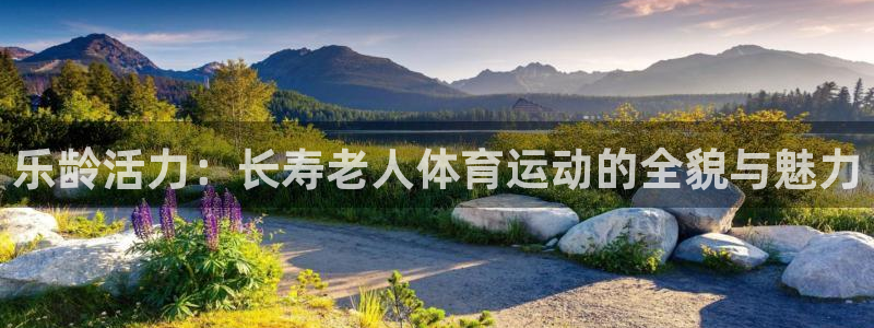 沐鸣4官网