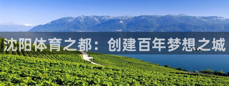 沐鸣招商