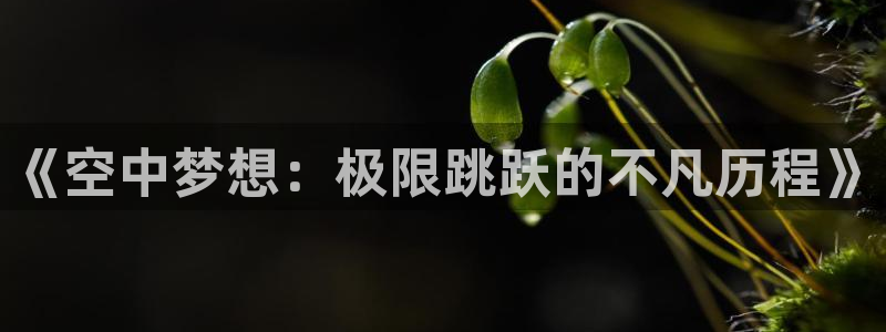 沐鸣3官网