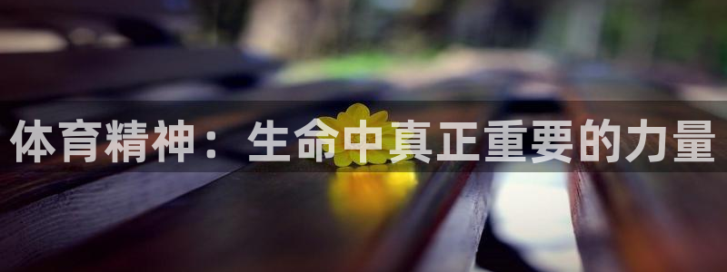 沐鸣3官网登录